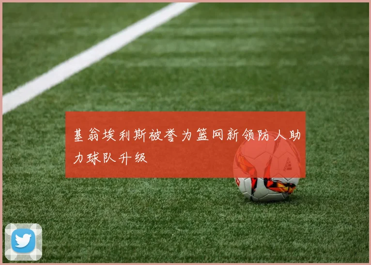 基翁埃利斯被誉为篮网新领防人助力球队升级